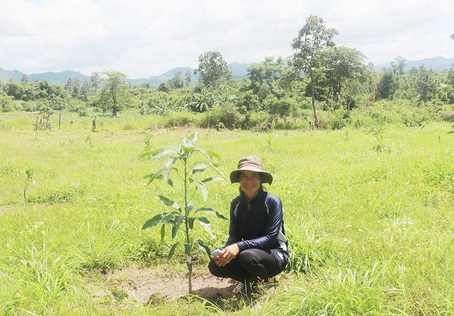 Nhờ tham gia mô hình, nhiều hộ đã có điều kiện để cải tạo vườn tạp. Ảnh: H.T