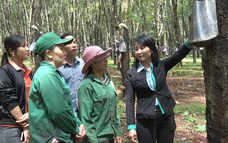 Chị Đinh Thị Nga (bìa phải) giới thiệu với công nhân về sáng kiến máng dẫn mủ. Ảnh: H.Đ.T