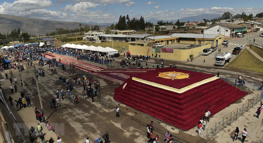 Kim tự tháp hoa hồng bao gồm 94% là hoa hồng màu đỏ sậm, 6% còn lại là màu trắng, hồng và vàng.