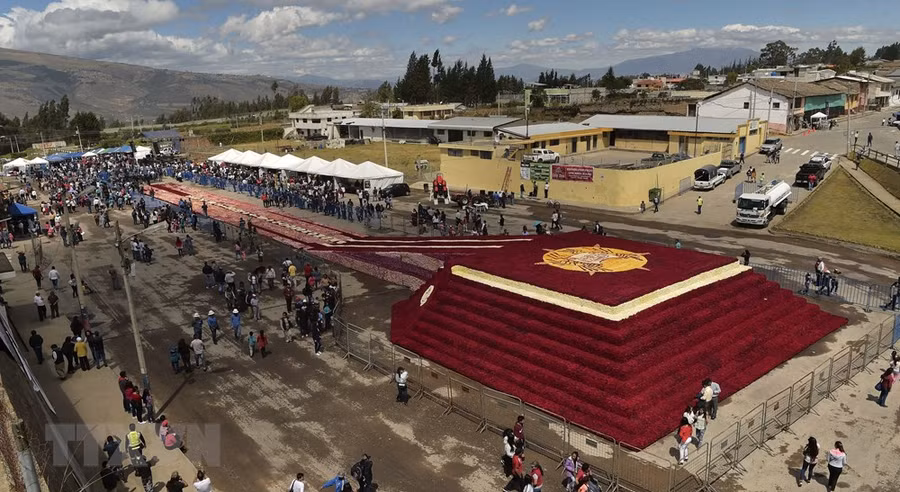 Kim tự tháp hoa hồng bao gồm 94% là hoa hồng màu đỏ sậm, 6% còn lại là màu trắng, hồng và vàng.