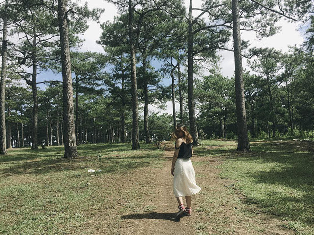 Cảnh nên thơ của Đồi Thông Hai Mộ trở thành địa điểm thu hút khách du lịch. Ảnh: @thao.ngoenn Cảnh nên thơ của Đồi Thông Hai Mộ trở thành địa điểm thu hút khách du lịch. Ảnh: @thao.ngoenn