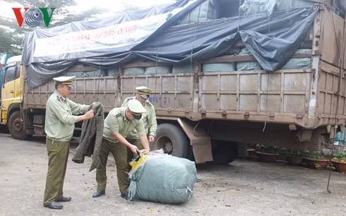  Hàng hóa và phương tiện đang được tạm giữ tại Chi Cục quản lý Thị trường tỉnh Đắk Lắk