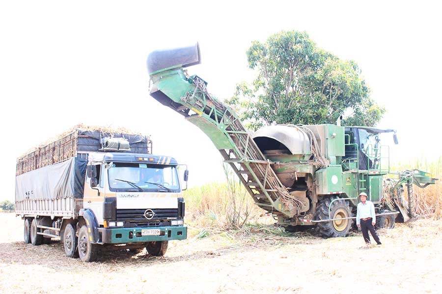  Xe nâng mía thu hoạch bằng máy. Ảnh: Nguyễn Diệp