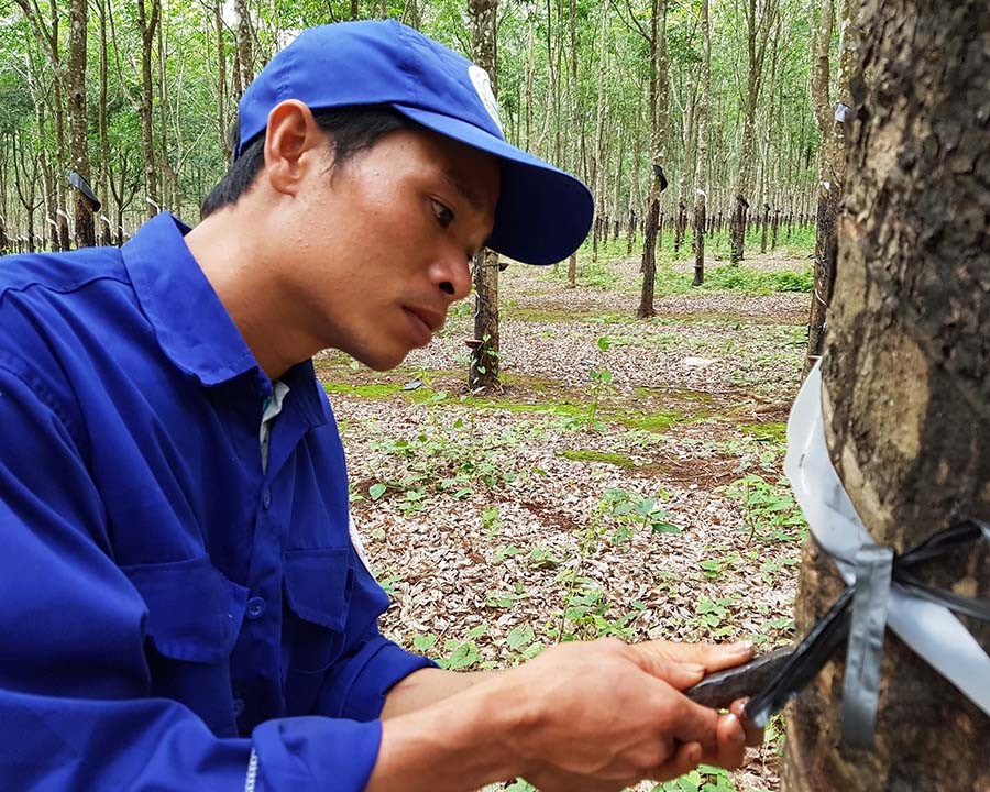  Anh Nguyễn Văn Quý. Ảnh: Hà Đức Thành
