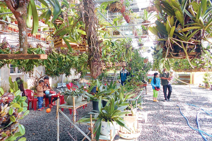 Không gian một quán cà phê lan rừng. 