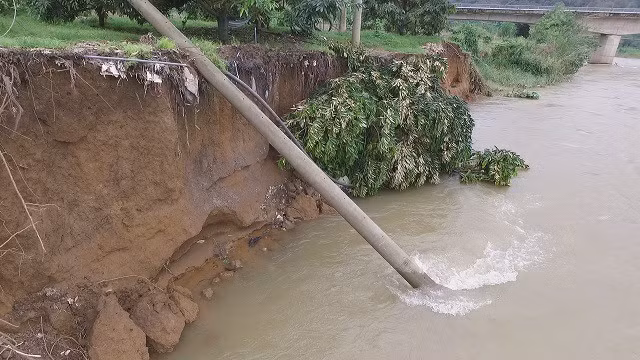 Nhiều cây công nghiệp của người dân và trụ điện đã bị 