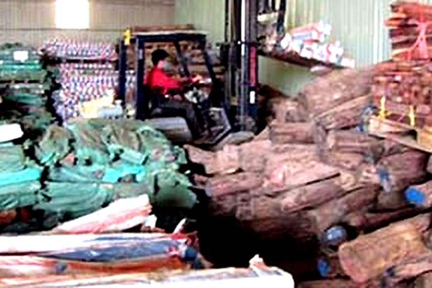 Gần 600 m3 gỗ trắc tang vật đã bị đem bán khi vụ án chưa kết thúc điều tra. Ảnh: B.C