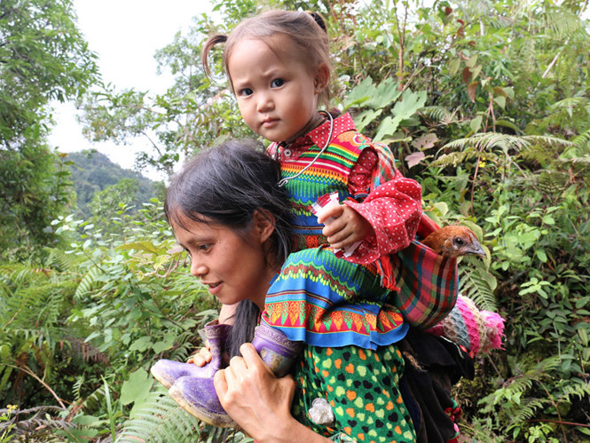 Bé Lù Thị Say được mẹ cõng và địu em đi 2 tiếng đồng hồ đến trường