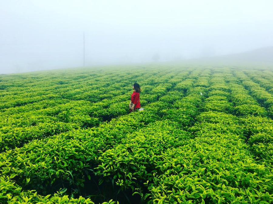 Khám phá Đà Lạt rất riêng trong tiết trời tháng 8. Khám phá Đà Lạt rất riêng trong tiết trời tháng 8.