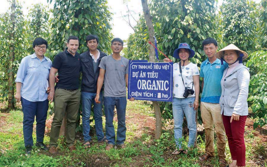Phong trào nông nghiệp hữu cơ lan rộng trên địa bàn tỉnh. Ảnh: L.L