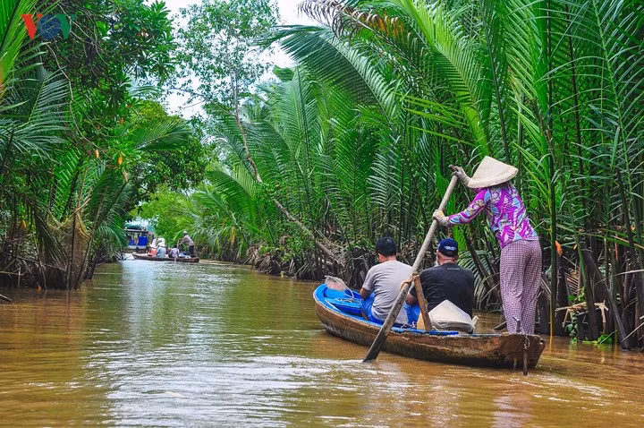  Hái trái cây trong miệt vườn: Ở “thiên đường” trái cây, rất dễ dàng để ghé một miệt vườn, hái trái chín ngay trong tầm tay hoặc mua về với giá rất bình dân. Đó là những miệt vườn trù phú Cái Bè (Tiền Giang), Cái Mơn (Bến Tre), Lái Thiêu (Bình Dương), Vĩnh Kim (Tiền Giang),…