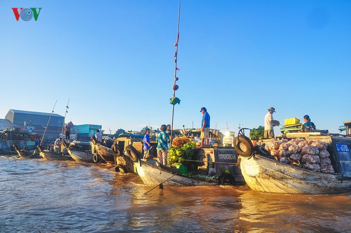 Từ 4-5h sáng, các khúc sông đã tấp nập nào ghe, thuyền, xuồng ngược xuôi như mắc cửi. Điểm độc đáo là mỗi thuyền đều có một cây bẹo, bán món hàng gì thì treo món đó, đủ loại cây trái, thực phẩm, thậm chí có cả vé số,…  Từ 4-5h sáng, các khúc sông đã tấp nập nào ghe, thuyền, xuồng ngược xuôi như mắc cửi. Điểm độc đáo là mỗi thuyền đều có một cây bẹo, bán món hàng gì thì treo món đó, đủ loại cây trái, thực phẩm, thậm chí có cả vé số,…