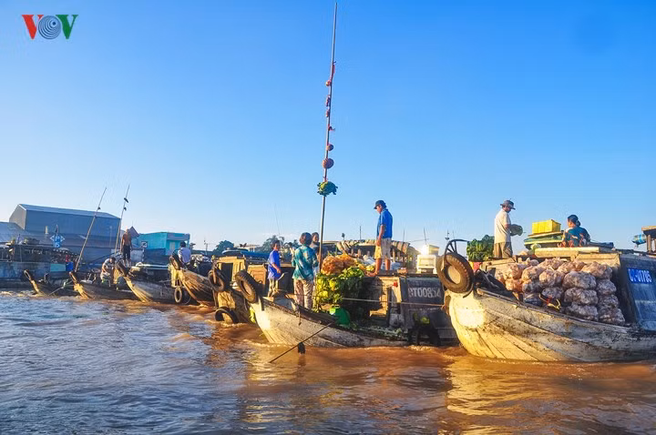  Từ 4-5h sáng, các khúc sông đã tấp nập nào ghe, thuyền, xuồng ngược xuôi như mắc cửi. Điểm độc đáo là mỗi thuyền đều có một cây bẹo, bán món hàng gì thì treo món đó, đủ loại cây trái, thực phẩm, thậm chí có cả vé số,…