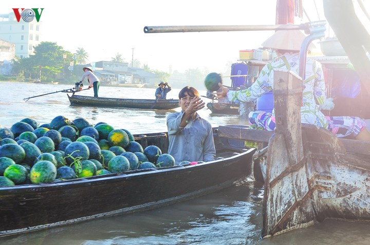 Trái cây đủ màu rực rỡ, mùi thơm nức từ thuyền bán bún phở, tiếng ngã giá vui tai sẽ khiến cho buổi sáng miền Tây của bạn thật đáng nhớ. Trái cây đủ màu rực rỡ, mùi thơm nức từ thuyền bán bún phở, tiếng ngã giá vui tai sẽ khiến cho buổi sáng miền Tây của bạn thật đáng nhớ.