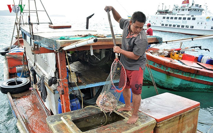  Điểm nhấn trong bức tranh tuyệt sắc của Nam Du là cảnh sắc thơ mộng.