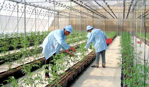 Ảnh nguồn internet