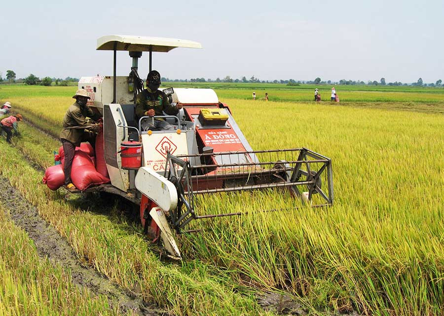 Đưa cơ giới vào sản xuất. Ảnh: Đức Phương