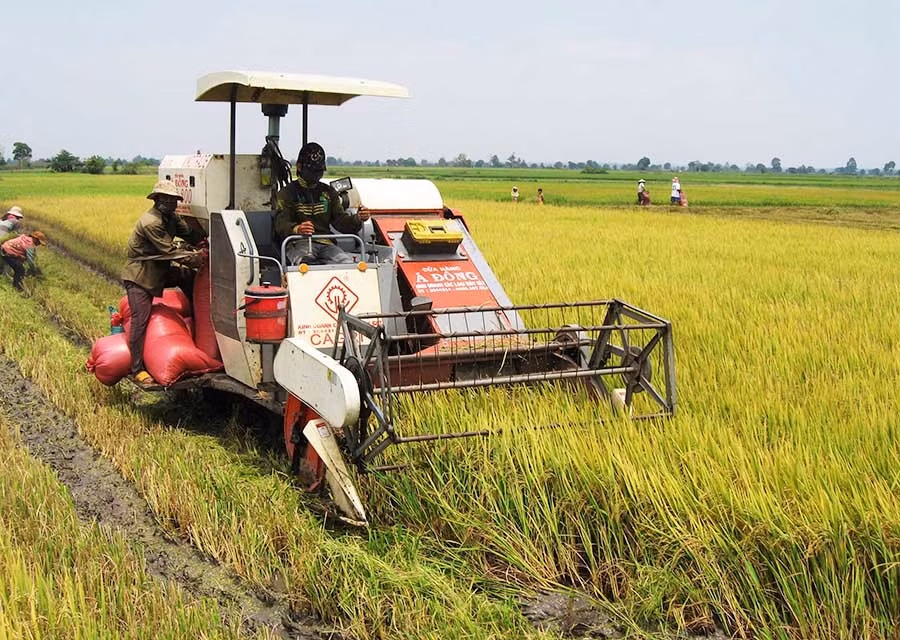 Đưa cơ giới vào sản xuất. Ảnh: Đức Phương