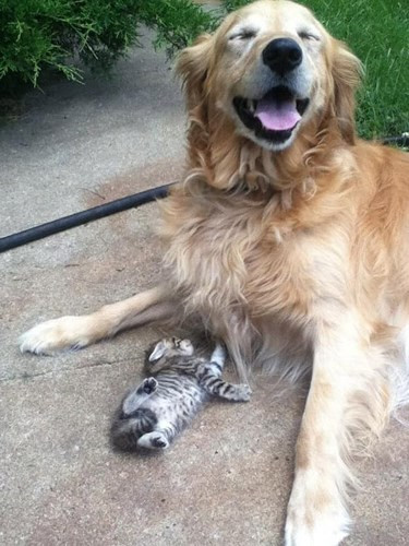  Nụ cười sảng khoái 