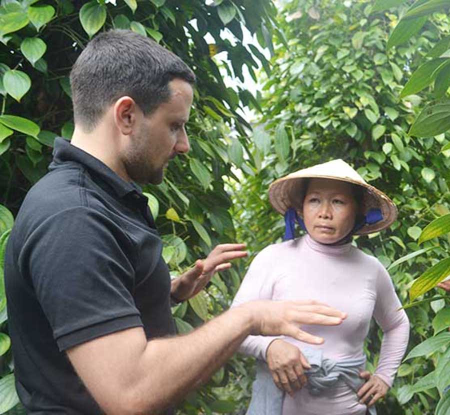 Nhiều mô hình trồng hồ tiêu hữu cơ của Gia Lai được các chuyên gia nước ngoài đến tham quan, tìm hiểu. Ảnh: L.L