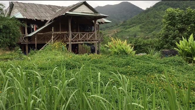  Một góc bình yên của trang trại Bio Pháp