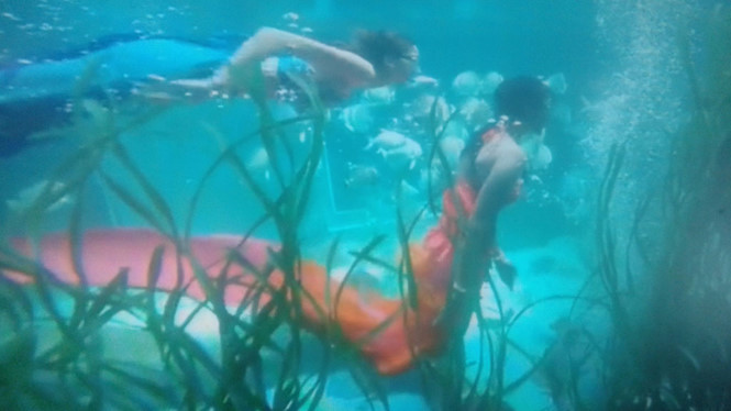 Màn biểu diễn của các nàng tiên cá rất ấn tượng. Ảnh: Quang Viên