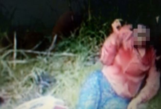 Hiện trường vụ việc. Ảnh cắt từ clip Hiện trường vụ việc. Ảnh cắt từ clip