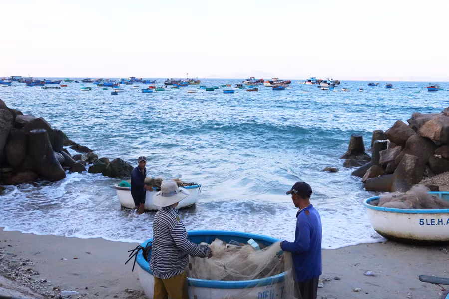 Xem ngư dân chài lưới vào mỗi sáng sớm. Ảnh: Q.T