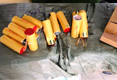 Ảnh minh họa (nguồn internet)