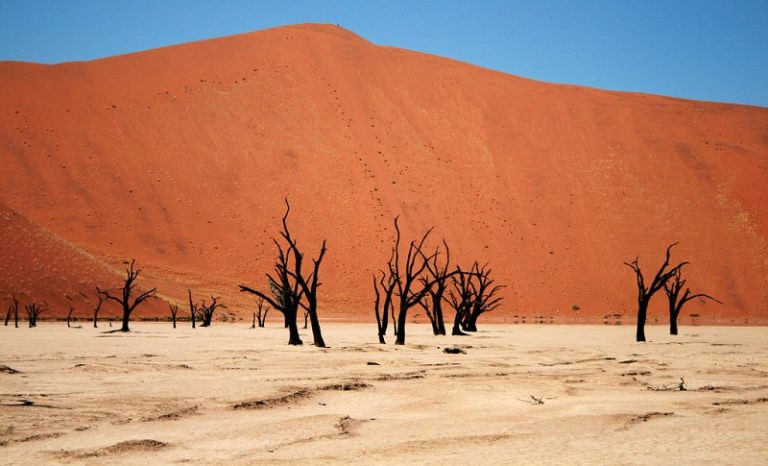 Sa mạc Namib ở Namibia nổi tiếng với những cồn cát cao và đẹp nhất thế giới.