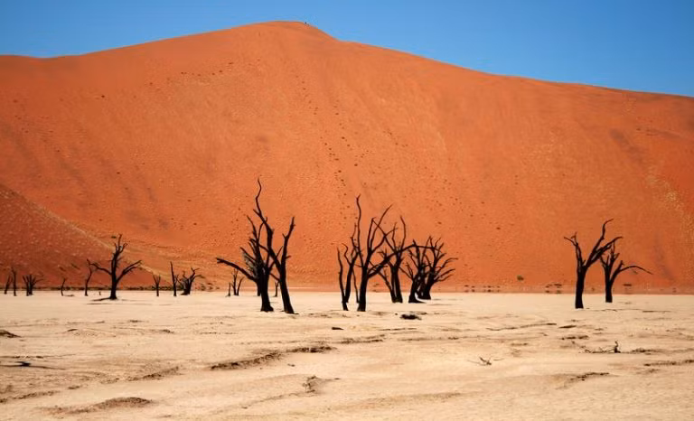 Sa mạc Namib ở Namibia nổi tiếng với những cồn cát cao và đẹp nhất thế giới.