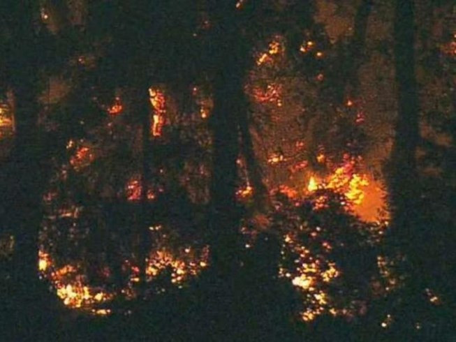 Lửa bốc cháy khu vực chiếc máy bay Q400 rơi ở đảo Ketorn, bang Washington (Mỹ) cuối ngày 10-8. Ảnh: ABC NEWS