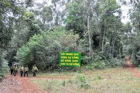 Ảnh nguồn internet