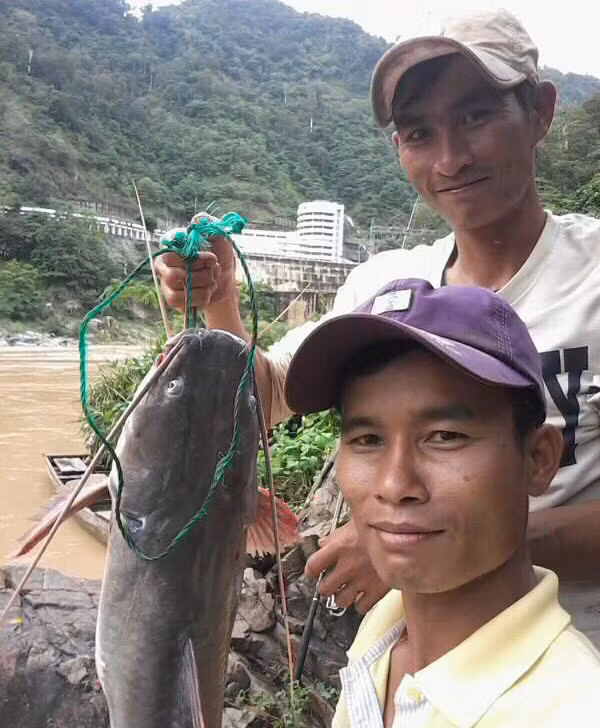 Hiếm hoi những cần thủ mới câu được chú cá lăng tầm 3kg như thế này.