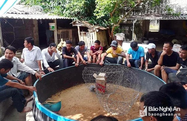 Hàng chục đối tượng đang chơi đá gà thì bị bắt giữ. Ảnh: Phương Hảo Hàng chục đối tượng đang chơi đá gà thì bị bắt giữ. Ảnh: Phương Hảo