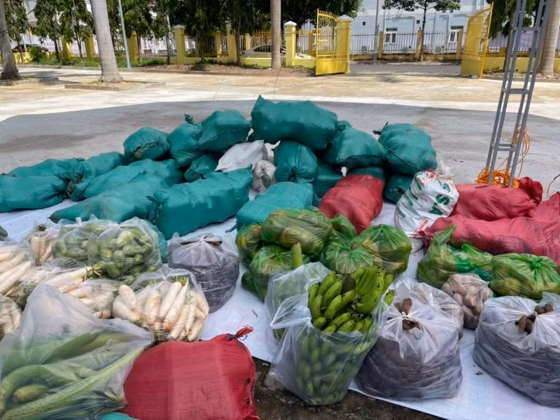  Rau, củ, quả ủng hộ TP Hồ Chí Minh được người dân tỉnh Kon Tum mang đến tại Tỉnh đoàn Kon Tum.