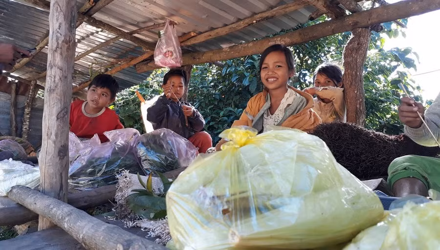 Ngoài những sản vật lấy từ rừng, các em cũng lấy thêm bắp và củ mì ở nhà đi bán kiếm tiền phụ giúp bố mẹ (Ảnh P.T)