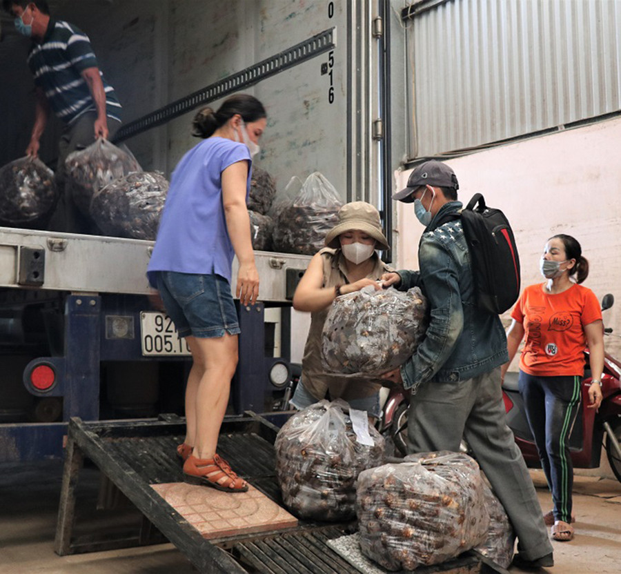 Đông đảo người dân từ khắp nơi đến điểm tập kết hàng hóa tại số 576 Trường Chinh để giúp bốc xếp rau củ lên xe container.