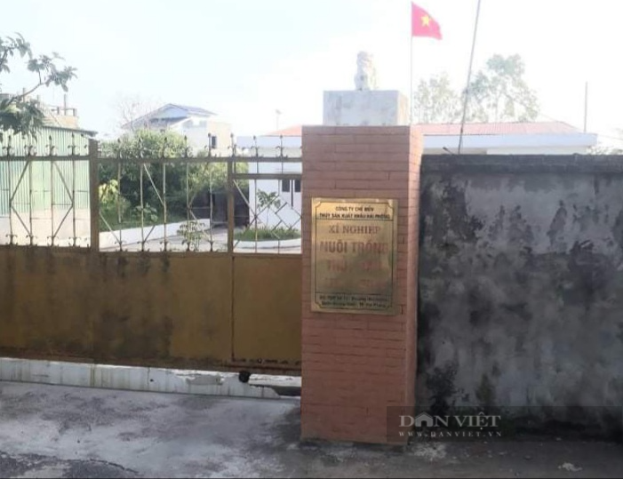 Xí nghiệp NTTS Kiến Thụy ((trụ sở tại quận Dương Kinh). Ảnh Vũ Thị Hải.