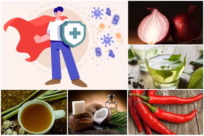 Những thảo dược có hoạt tính kháng sinh mạnh giúp bạn chống lại vi khuẩn.