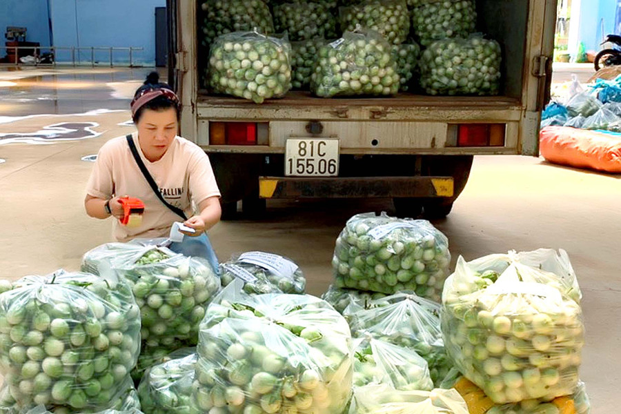Rau quả được phân loại, đóng gói trước khi chuyển đi. Ảnh: Đức Thụy Rau củ người dân đưa đến nhóm thiện nguyện sẽ phân loại, rồi đóng gói chuyển đi. Ảnh: Đức Thụy
