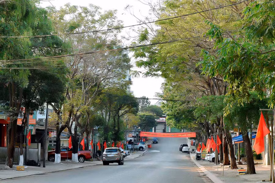 Đường Hoàng Văn Thụ (TP. Pleiku) rợp bóng cây xanh. Ảnh: Đức Thụy