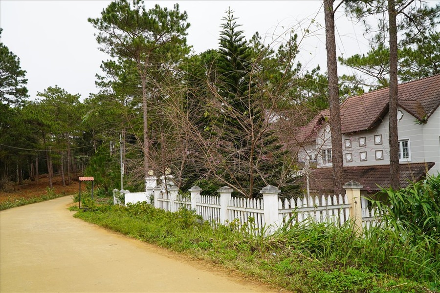 Các dự án khu biệt thự sinh thái ở Măng Đen cũng “án binh bất động” nhiều năm qua. Ảnh: T.Tuấn