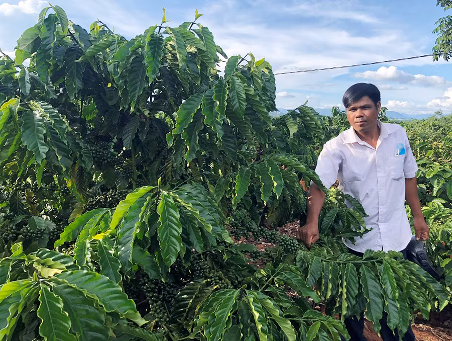 Anh Xuin (làng Ktăng) là hộ nông dân duy nhất của xã đạt danh hiệu sản xuất kinh doanh giỏi cấp tỉnh. Ảnh: Anh Huy