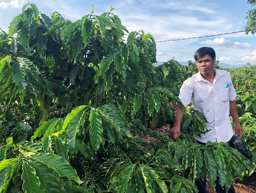 Anh Xuin (làng Ktăng) là hộ nông dân duy nhất của xã đạt danh hiệu sản xuất kinh doanh giỏi cấp tỉnh. Ảnh: Anh Huy