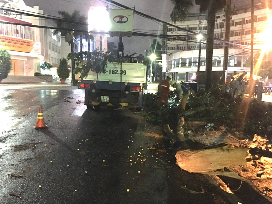 Công ty Điện lực Gia Lai khắc phục sự cố do cây xanh ngã đổ đảm bảo điện thắp sáng cho người dân. Ảnh: Nguyễn Diệp