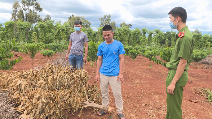 Trên đường đi trộm cắp, Danh 