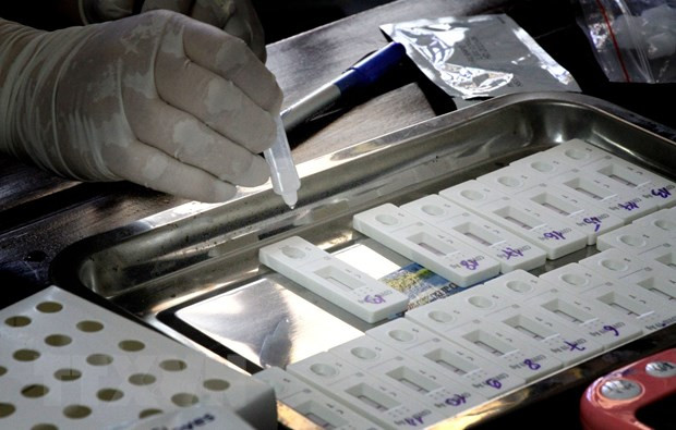 (Ảnh: Văn Tý/TTXVN)