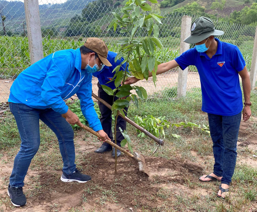 Lực lượng ĐVTN hưởng ứng chương trình tròng 1 tỷ cây xanh vì một Việt Nam xanh