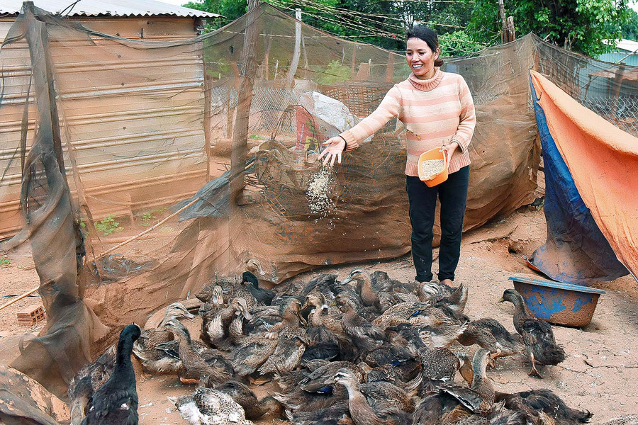 6.Gia đình chị Siu Bien (làng Nhă, xã Ia Blang) được Hội Liên hiệp Phụ nữ huyện hỗ trợ 100 con vịt để nuôi. Ngoài ra, gia đình còn chăm sóc 0,3 ha cà phê, 6 con bò và 2 sào lúa… Đến nay, cuộc sống của gia đình chị đã ổn định hơn trước nhiều.